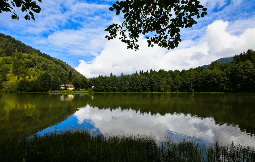 Borcka Karagol Economically in Trabzon